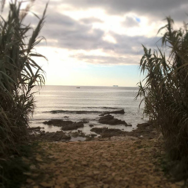 在风暴图片下载