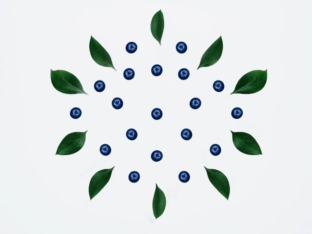 蓝莓和叶子分离图片下载