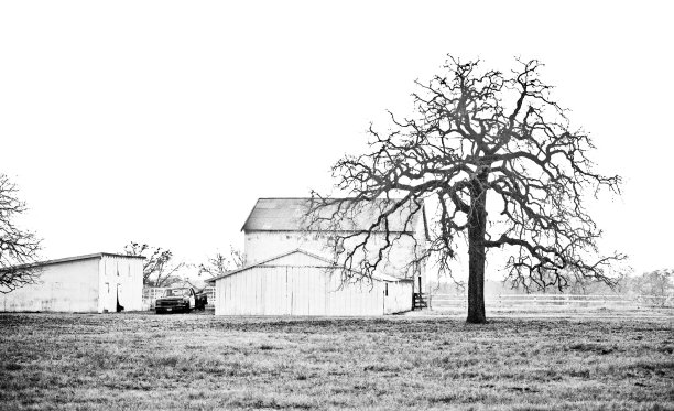 悲伤的德克萨斯农场，黑白色图片下载