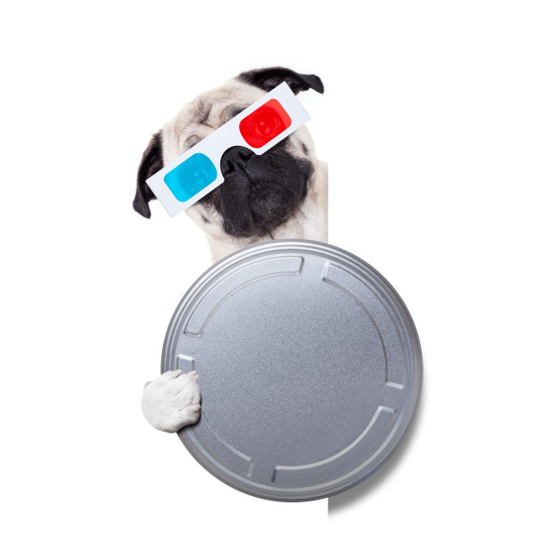 狗狗看电影图片下载