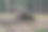 森林求生避难所图片下载