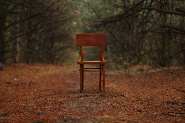 椅子在树林里图片下载