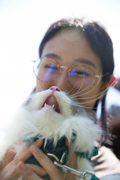 猫嘴女人图片下载