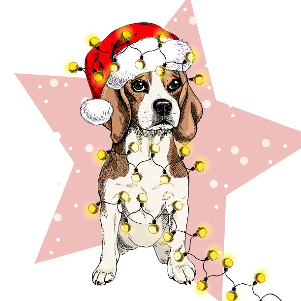 戴圣诞帽比格犬矢量肖像图片下载