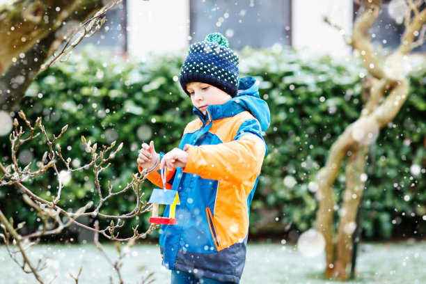 一个小男孩把鸟屋挂在树上过冬图片下载