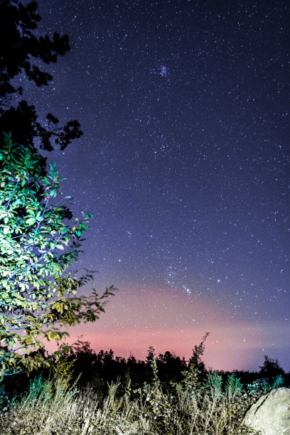 夜行动物图片下载