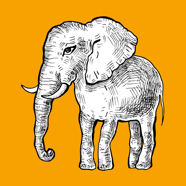 大象。矢量图图片下载