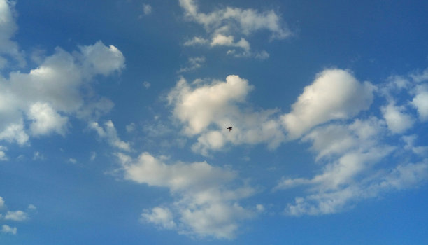 免费的图片下载