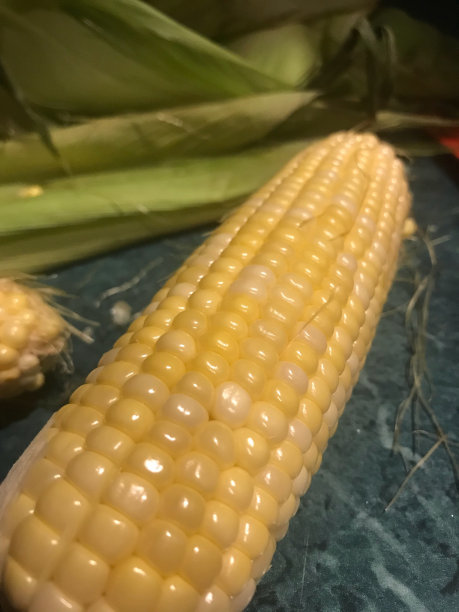 玉米图片下载