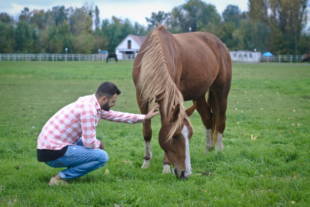 年轻英俊的牛仔。人是一个农场的农夫，农场里有许多马。农村景观,乡村。股票的照片图片下载