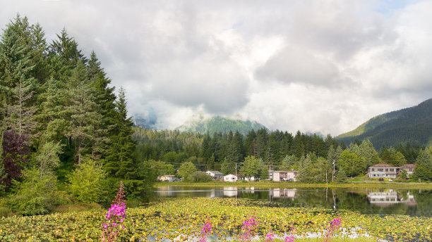 天鹅湖，阿拉斯加锡特卡。图片下载