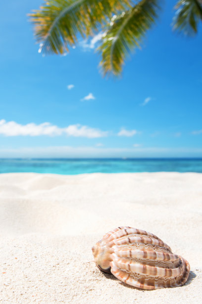 夏季海滩背景图片下载