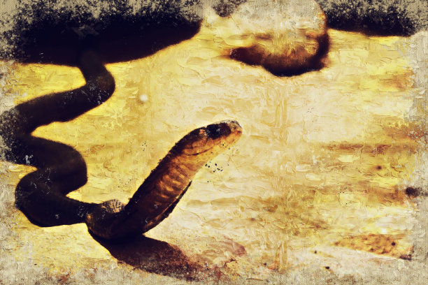 抽象蛇在油画水彩画的背景。图片下载