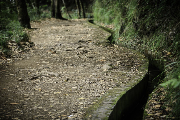 在马德拉岛徒步旅行图片下载