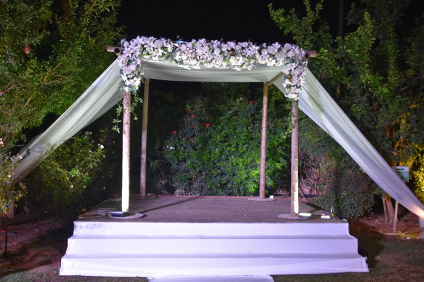 一个婚礼树冠图片下载