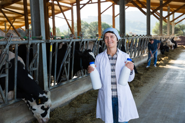 高级女兽医与牛奶在奶牛场图片下载
