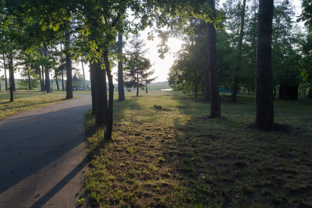 夏日里森林公园里的日落图片下载
