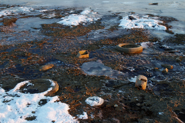 大自然中的垃圾图片下载
