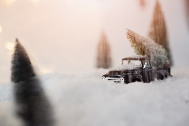 黑色微型汽车载着圣诞树。图片下载