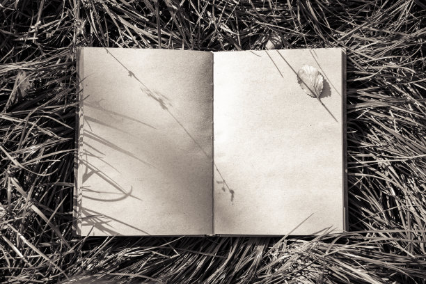 翻开一本空白的书躺在草地上。本空间图片下载