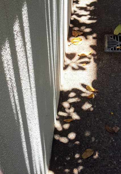 外面墙上花形的影子。图片下载