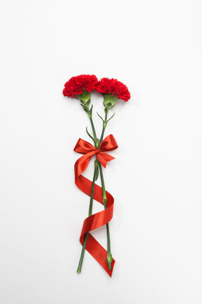 红色康乃馨花和红色丝带图片下载