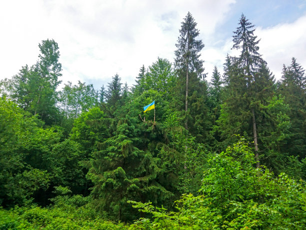 喀尔巴阡山脉图片下载