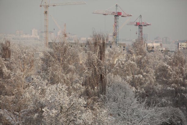 树下的雪在城市图片下载