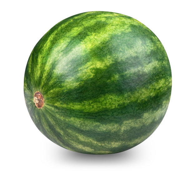 什么瓜孤立在白色图片下载