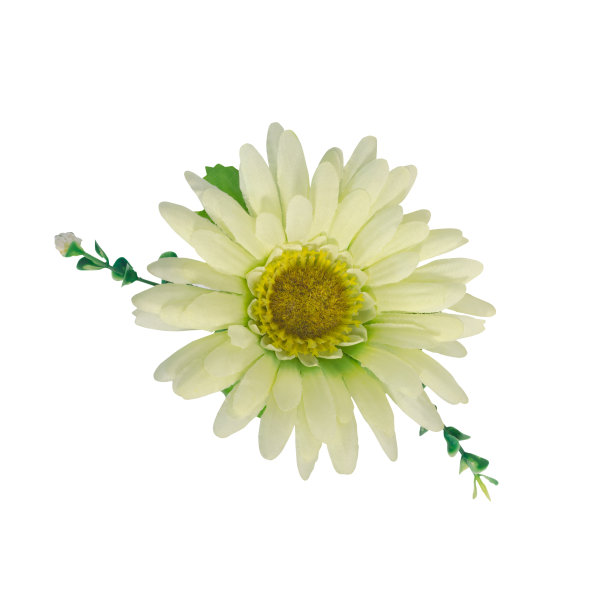 白色人造花孤立在白色背景上，有工作路径图片下载