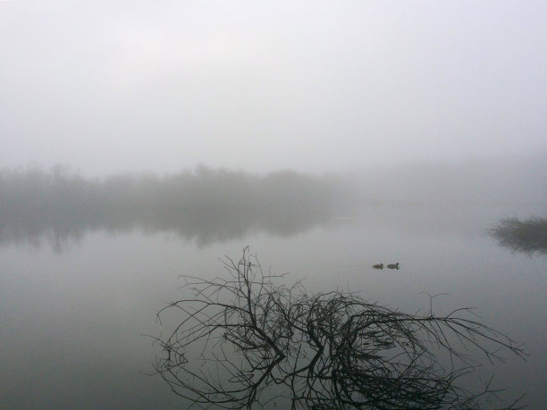 索尔布鲁公园的迷雾景观。威托利亚-加斯泰兹。西班牙图片下载