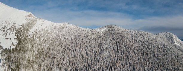 一场降雪后，无人机拍摄的被雪覆盖的树林。意大利阿尔卑斯山图片下载