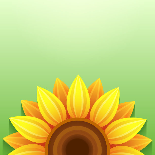 时尚的绿色背景与3d向日葵图片下载