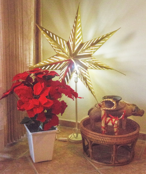 圣诞角有星星，pointsettia和圣诞山羊图片下载