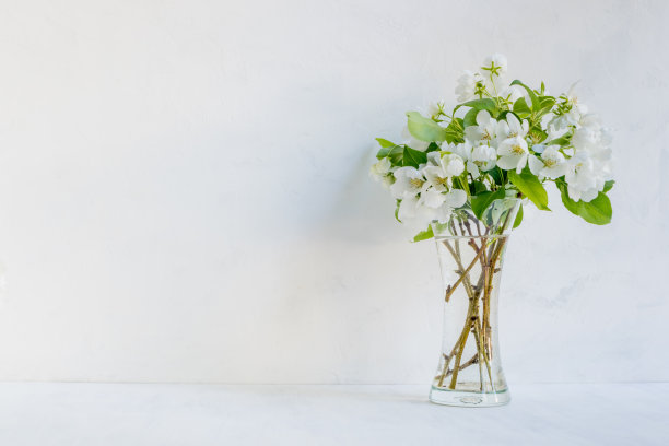 花瓶里有白花素材图片