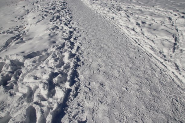 冬天雪地上的脚印图片下载