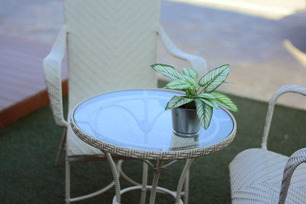 半透明的玻璃桌子上放着一个带有绿色装饰植物的金属花盆图片下载