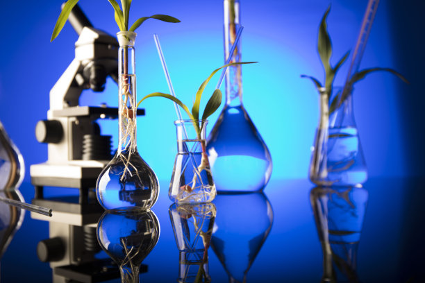 实验室的概念。图片下载