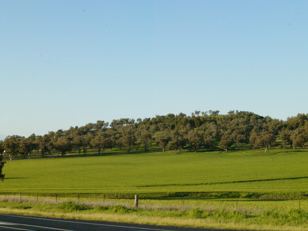 惠灵顿新南威尔士州图片下载