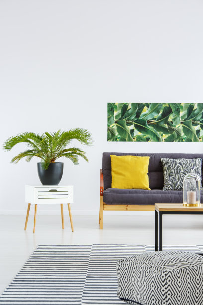 明亮客厅内的植物图片下载