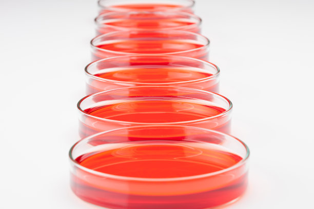 培养皿图片下载