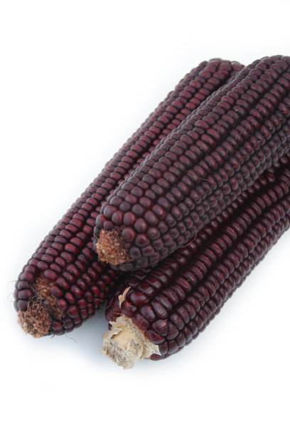 白色的紫玉米芯图片下载