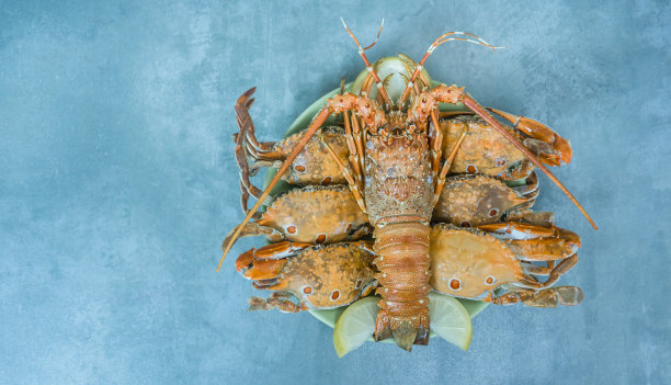 蒸甲壳类海产品图片下载