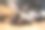 狗的爪子放在地上。睡觉的狗。图片下载
