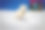 一只非常可爱的金色小狗在玩雪球图片下载