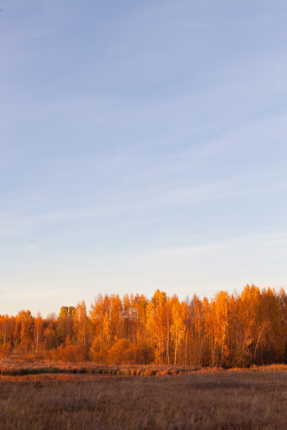 秋天的自然景观图片下载