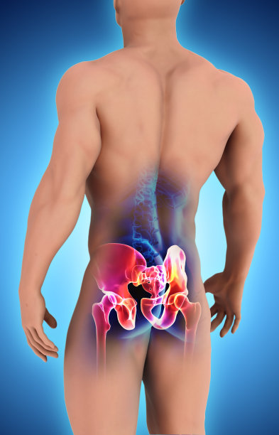 臀部骨骼在蓝色背景。图片下载