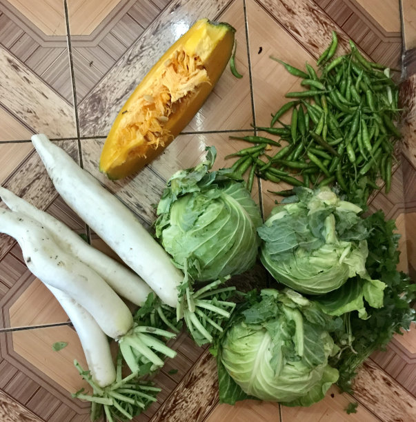 健康的蔬菜图片下载