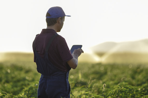 年轻的法默正在使用数字平板电脑图片下载