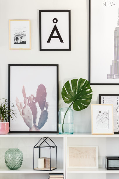 客厅里的绿叶图片下载